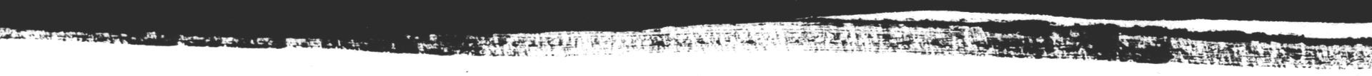 Website divider graphic line bottom